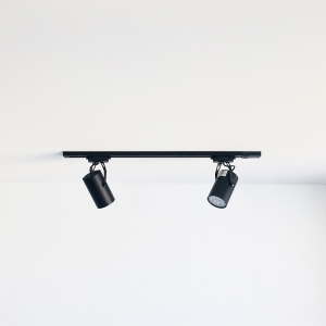 Double Lamp
